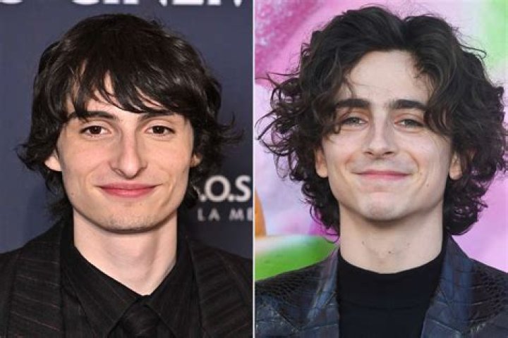 5 Things About Timothee Chalamet s Wonka Costar