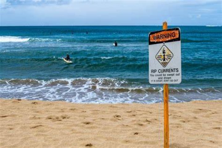  A beachgoers tries to put an end to the noise by shutting the boot