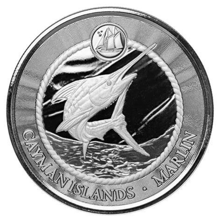 A coin collector has revealed the specific mint mark error that makes a nickel worth $1,000