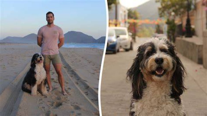 A couple spent just &pound;2k renovating an old van before travelling around Europe