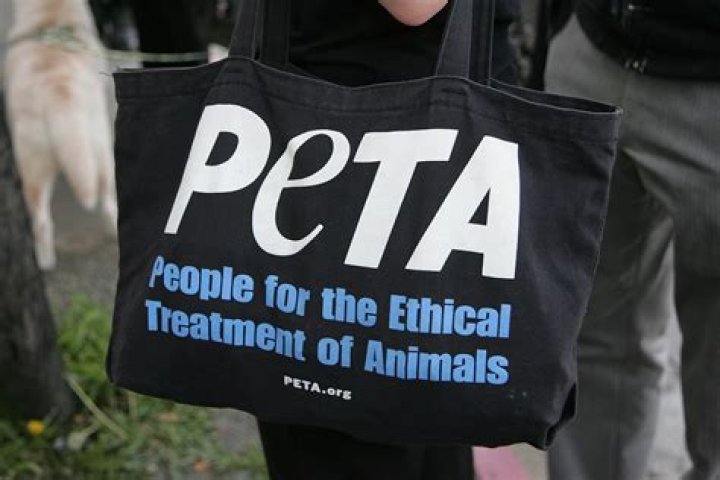 A fan asked Peta if she's like another child