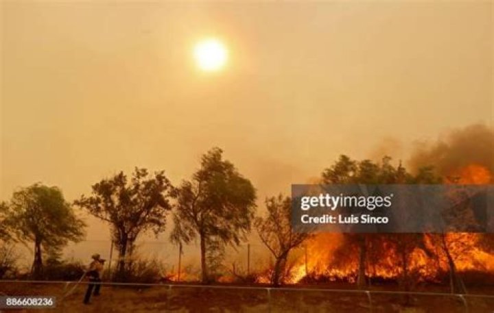 A firefighter battles the Creek Fire in the Shaver Lake community of Fresno County, California