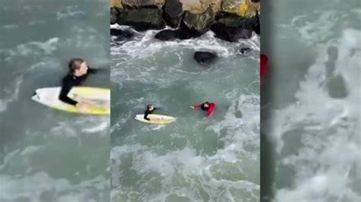 A Florida surfer was attacked by a shark last week