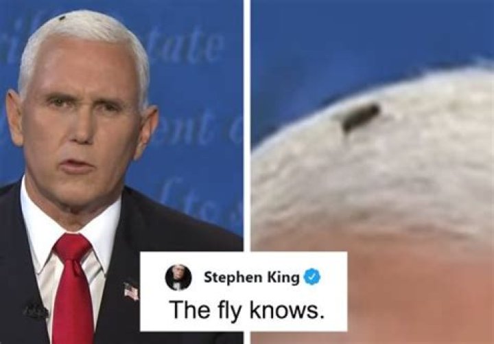 A fly hung around Pence's head throughout the whole debate