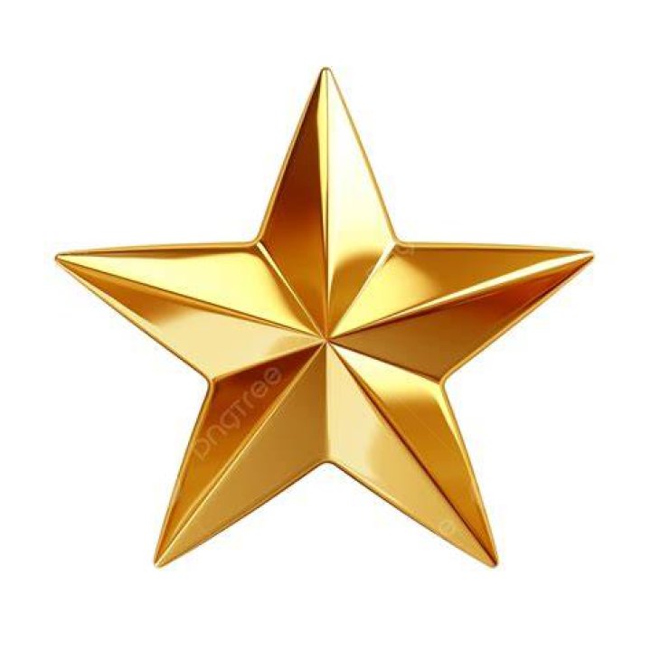 A golden star can be seen on top of one of the trees in the busy forest