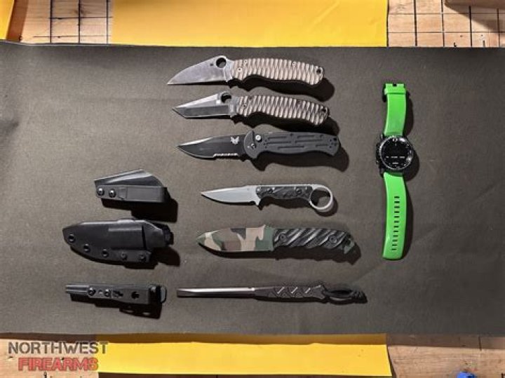 A gun and several knives were found at the students' homes, according to police