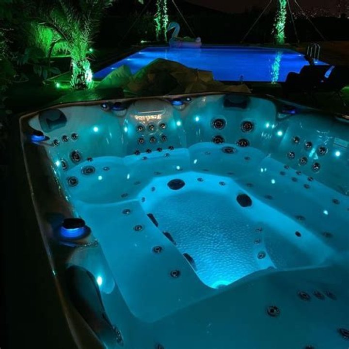 A large pool and jacuzzi are surrounded by swaying palm trees in the backyard