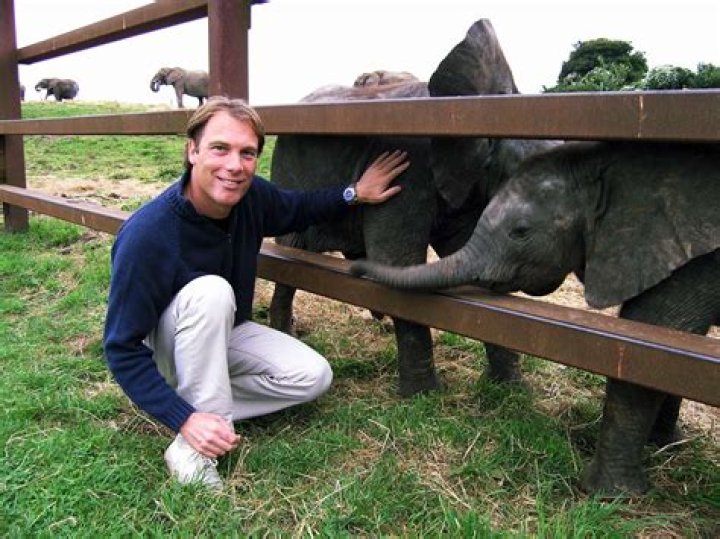 A life at Howletts means these animals are well fed