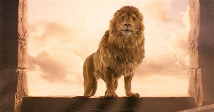 A lion is almost left roaring in pain as a cub bites the king of the jungle&rsquo;s crown jewels