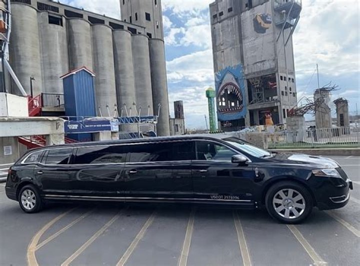  A stretch limousine worth &pound;165k bought by King for Tyson