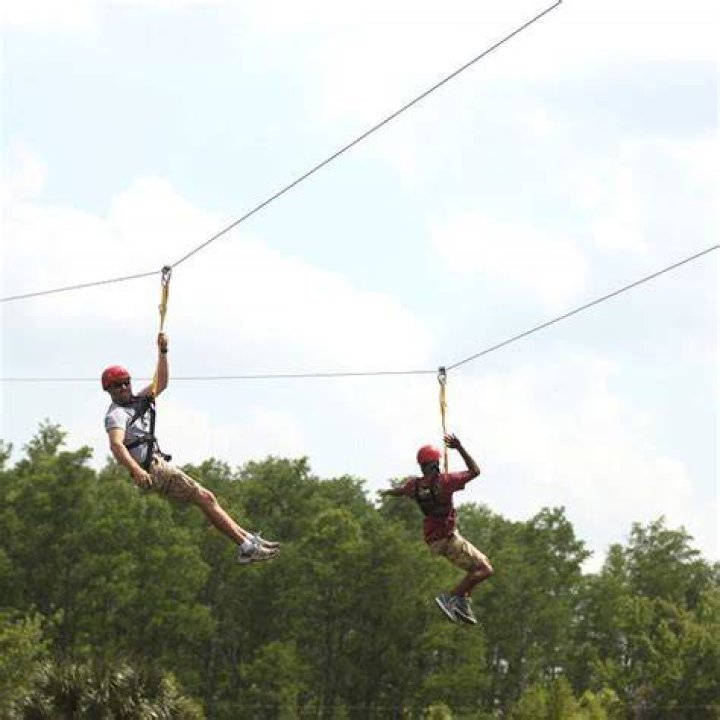 A zip line called Screamin&rsquo; Gator gives you a clue that Gator Land is not for the squeamish