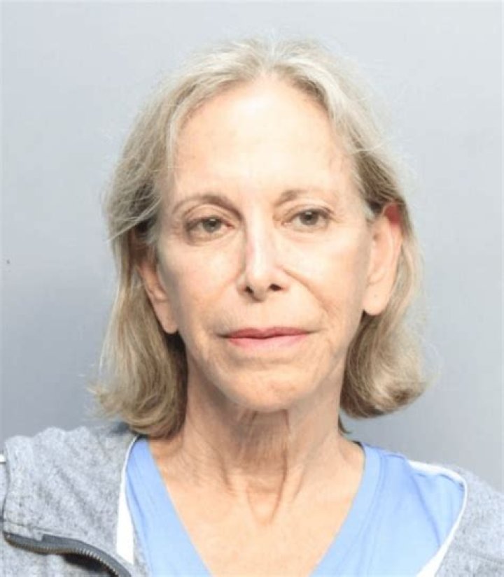Adelson, seen in a booking photo after her arrest, has been hit with the same charges as her son and pleaded not guilty