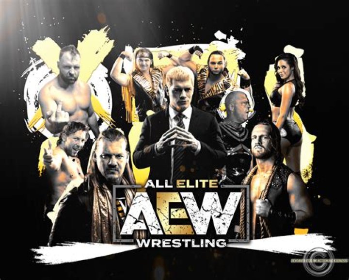 AEW, or All Elite Wrestling signed Conti in August 2020
