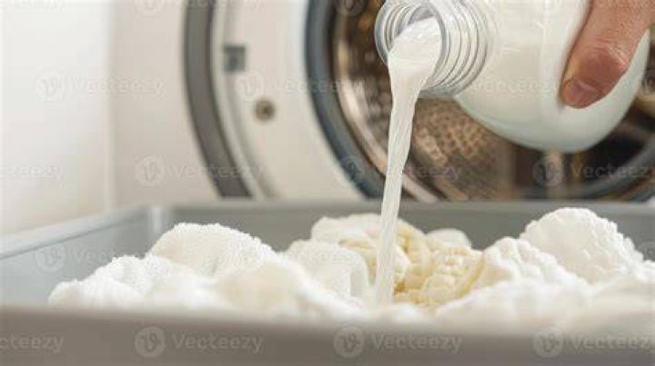 After pouring laundry detergent and stain remover over them, she let the pillows soak for a day