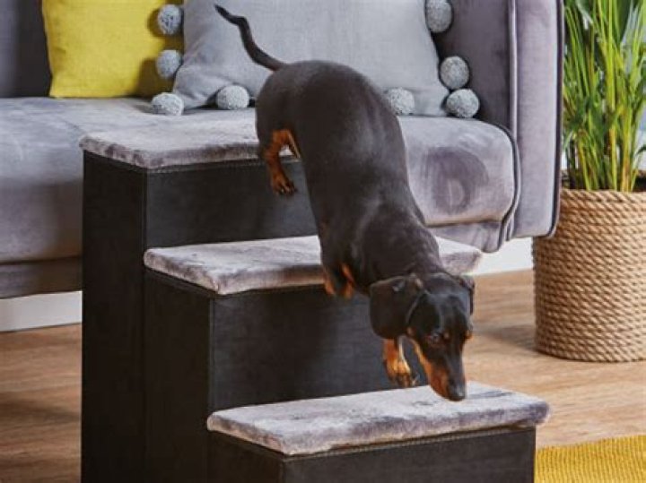 Aldi is selling dog stairs so your dog or cat can join you on the bed or sofa