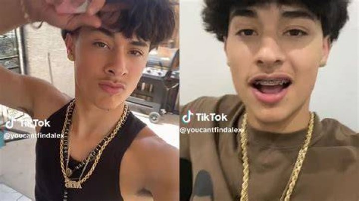 Alex took to TikTok to reveal the nail set she'd taken into the salon as inspiration