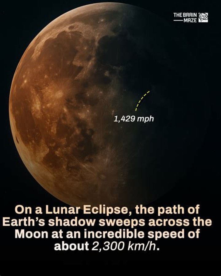  Although Moon moved out of his home, the "damage has already been done"
