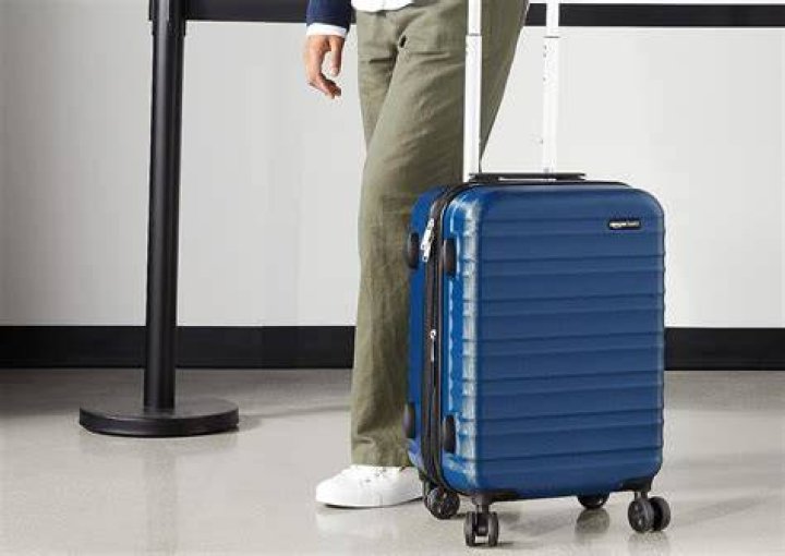 Amazon Basics 20-Inch Hardside Spinner
