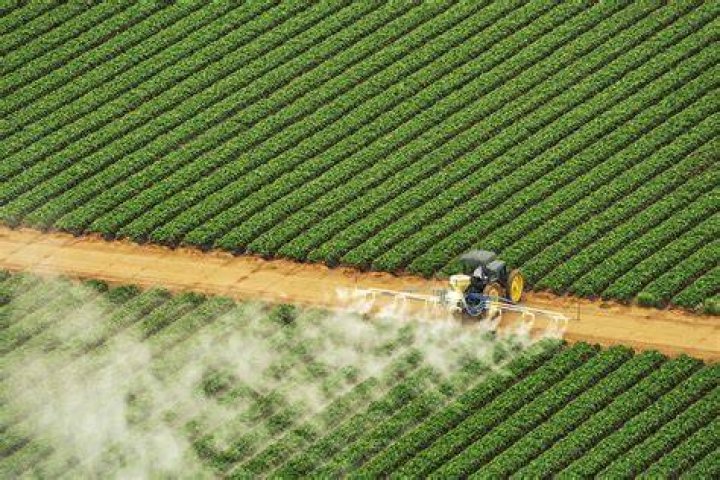 Ammonia can be sprayed on a moldy surface to destroy your fungal foe