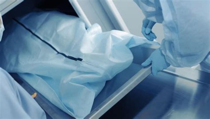 An autopsy is being carried out on the two young twins.