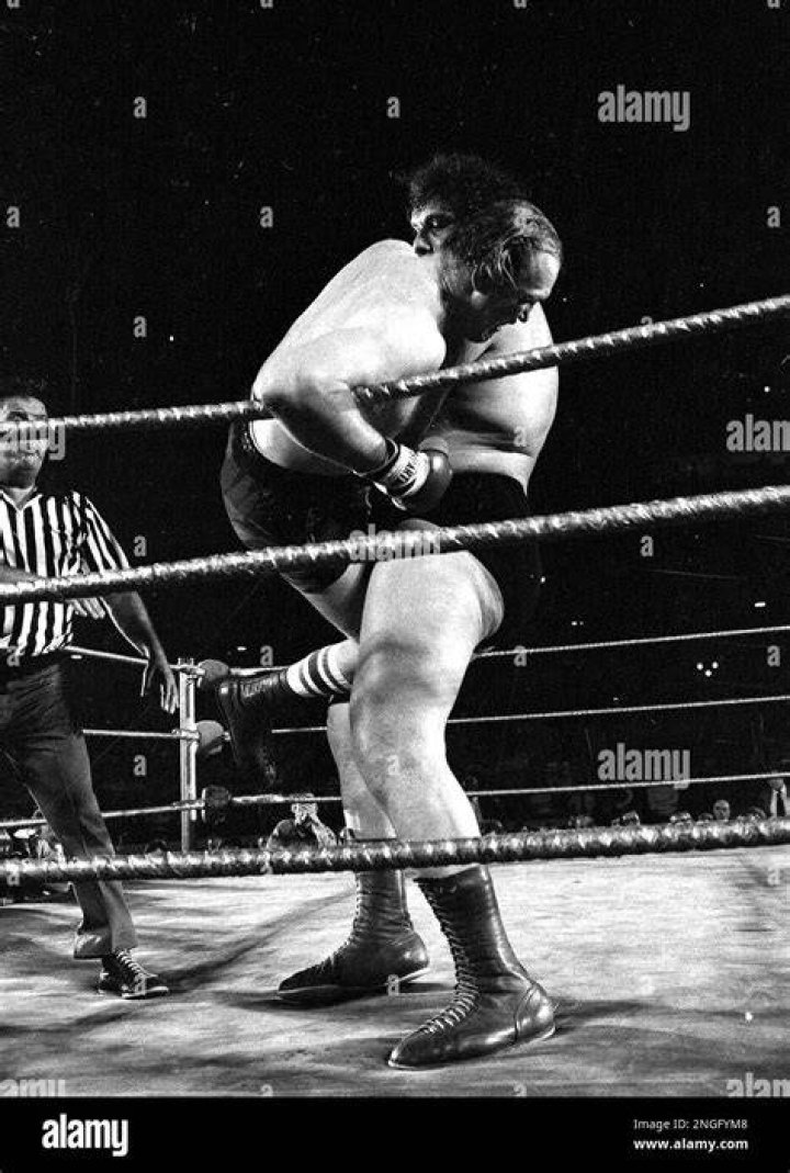  Andre the Giant tosses heavyweight contender Chuck Wepner out of the ring at Shea Stadium New York in 1976