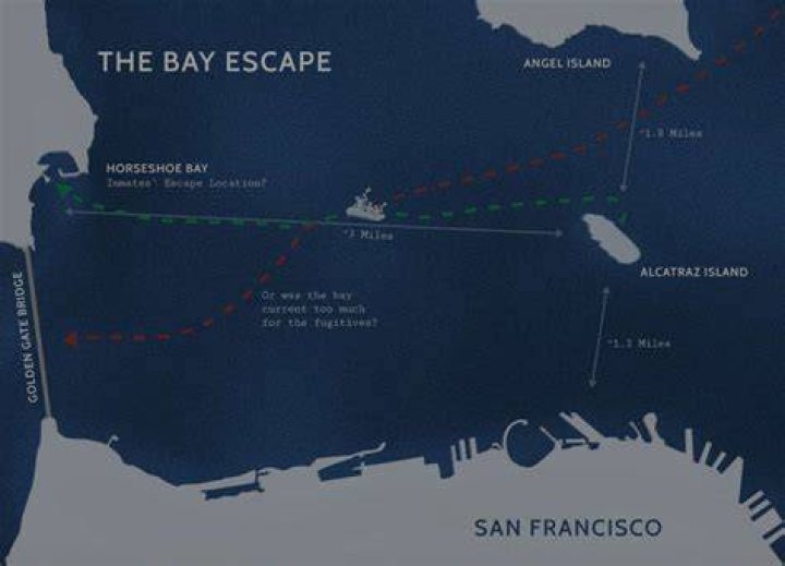 Andrew created an escape route for his family