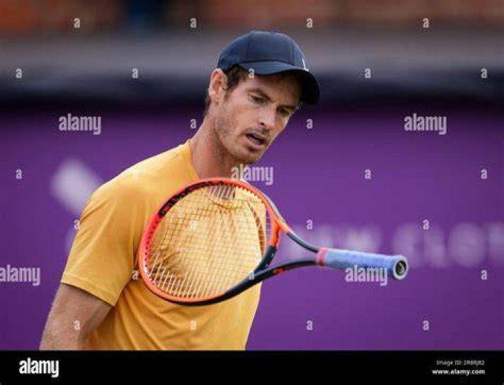 Andy Murray headed round the net to check on Moutet