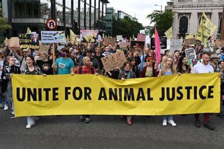 Animal rights groups have called for the end of fur farms