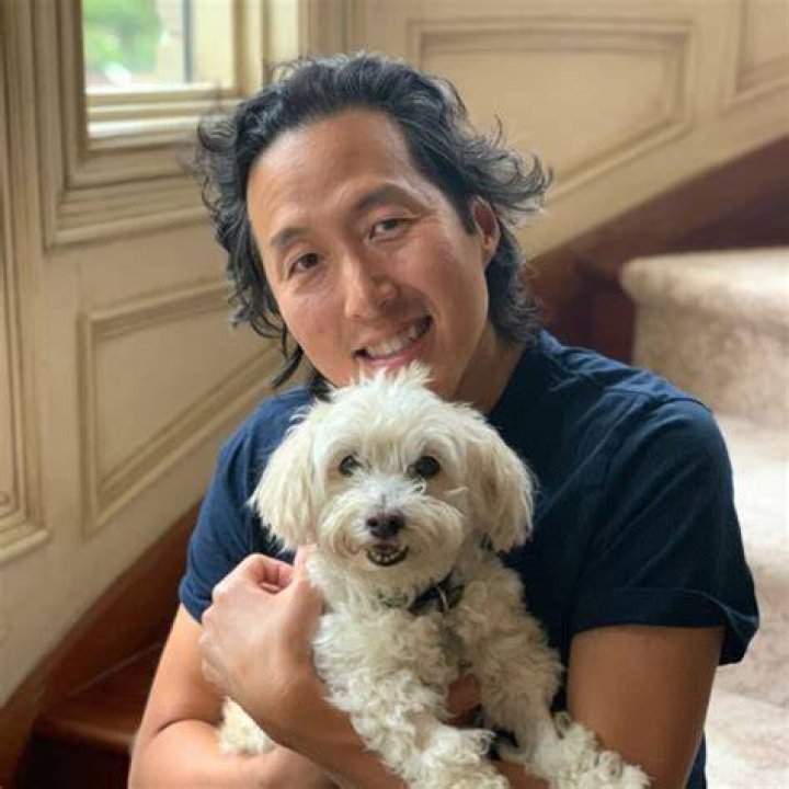 Anthony Youn Net Worth, Income, Salary, Earnings, Biography, How much money make?