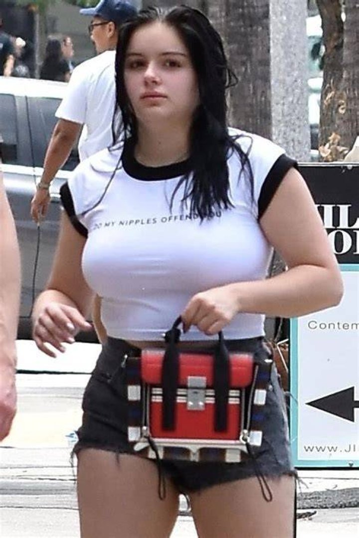 ariel-winter-do-my-nipples-offend-shirt