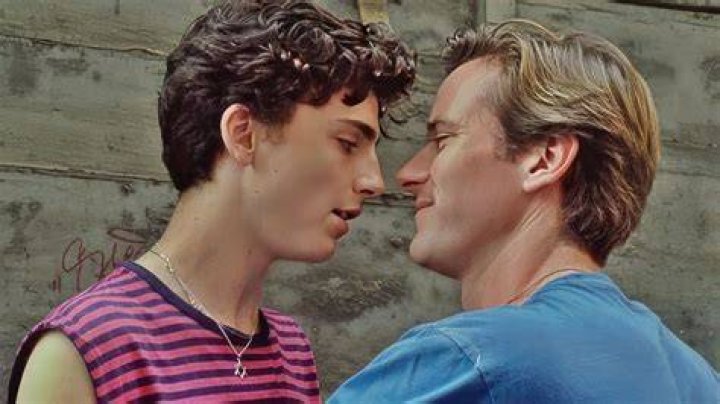 Armie and Timothee played lovers
