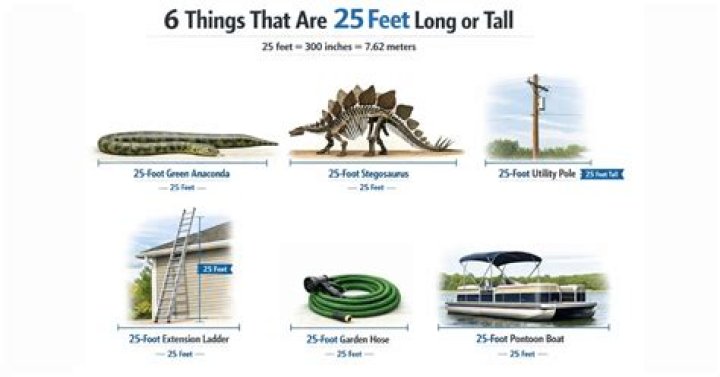 At 281-feet long it is the largest yacht built in America since the 1930s