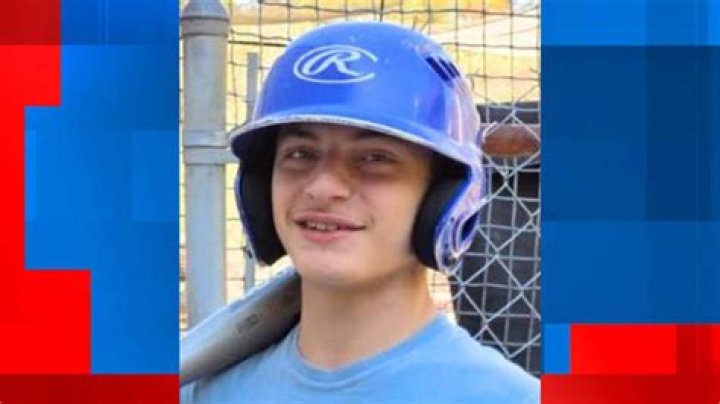 Authorities say 15-year-old William Quince Colburn III posted the gruesome images of his dead family members, made threats to attack a school and then took his own life on Thursday