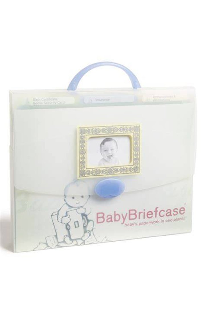 babybriefcase document organizer