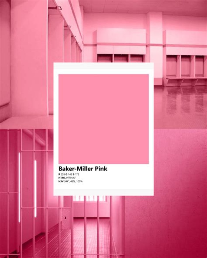 Baker-Miller pink can be found at this prison in Seattle, as well as throughout Barbieland