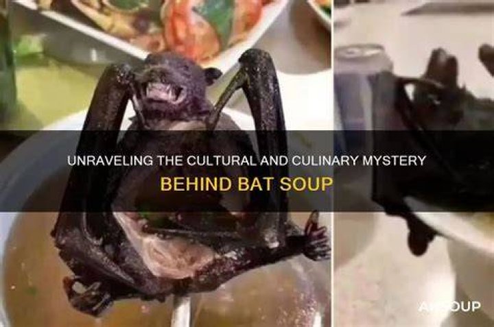  Bat soup is reportedly a delicacy in the Chinese city of Wuhan - where the virus originated