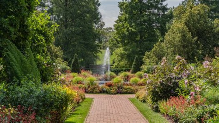 best botanic tree
