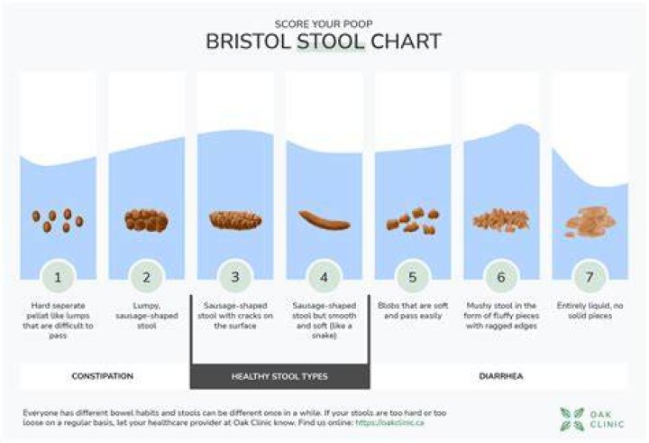 Bristol went through a messy divorce from Dakota Meyer