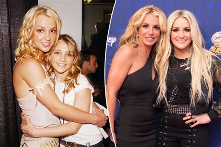 Britney gave her sister a pep talk before she entered the jungle