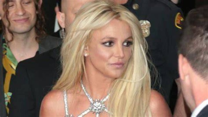 Britney Spears Reflects Over &lsquo;Bittersweet&rsquo; Feelings of Watching Sons Sean Preston and Jayden Grow Up