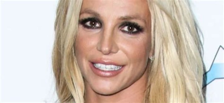 Britney Spears Returns Instagram Following Court Hearing 
