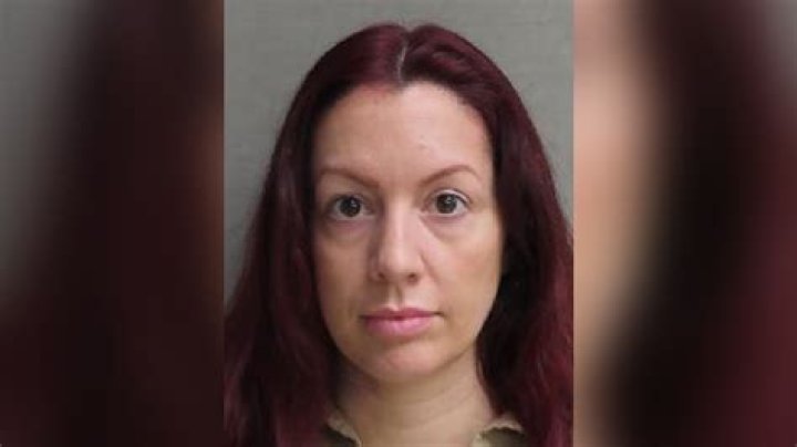 Brittany Malsch - pictured here in her mugshot - has been identified as Jaiden's birth mom, according to court documents obtained by The U.S. Sun