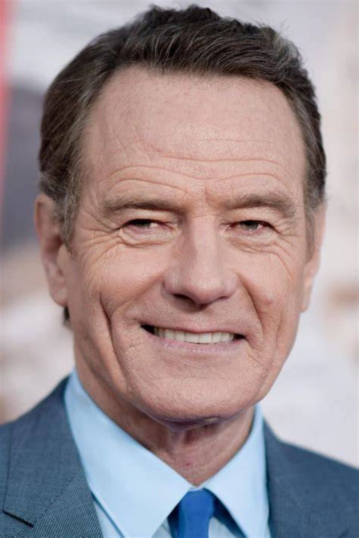 Bryan Cranston went on to have a lead role in the series Breaking Bad