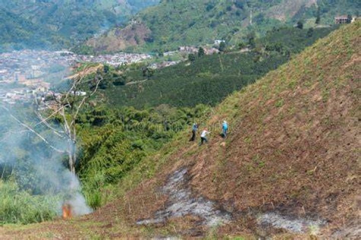 Burning vegatation on a hill in Yucaipa, California