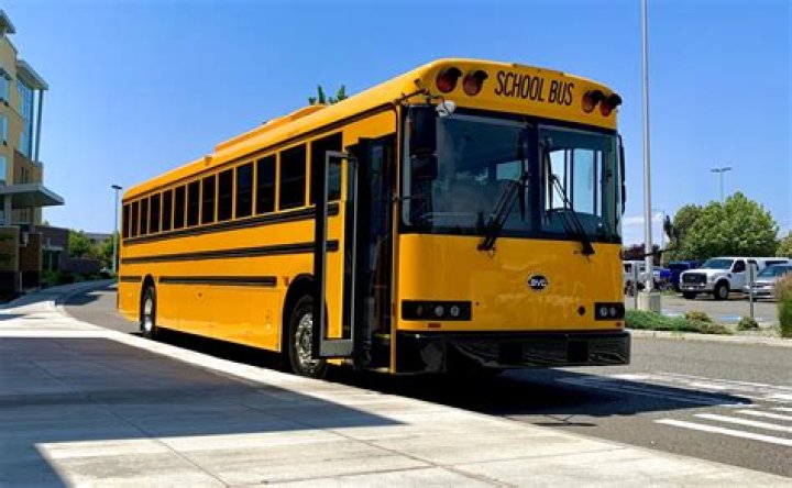 Can you find the bus stop and the driver?