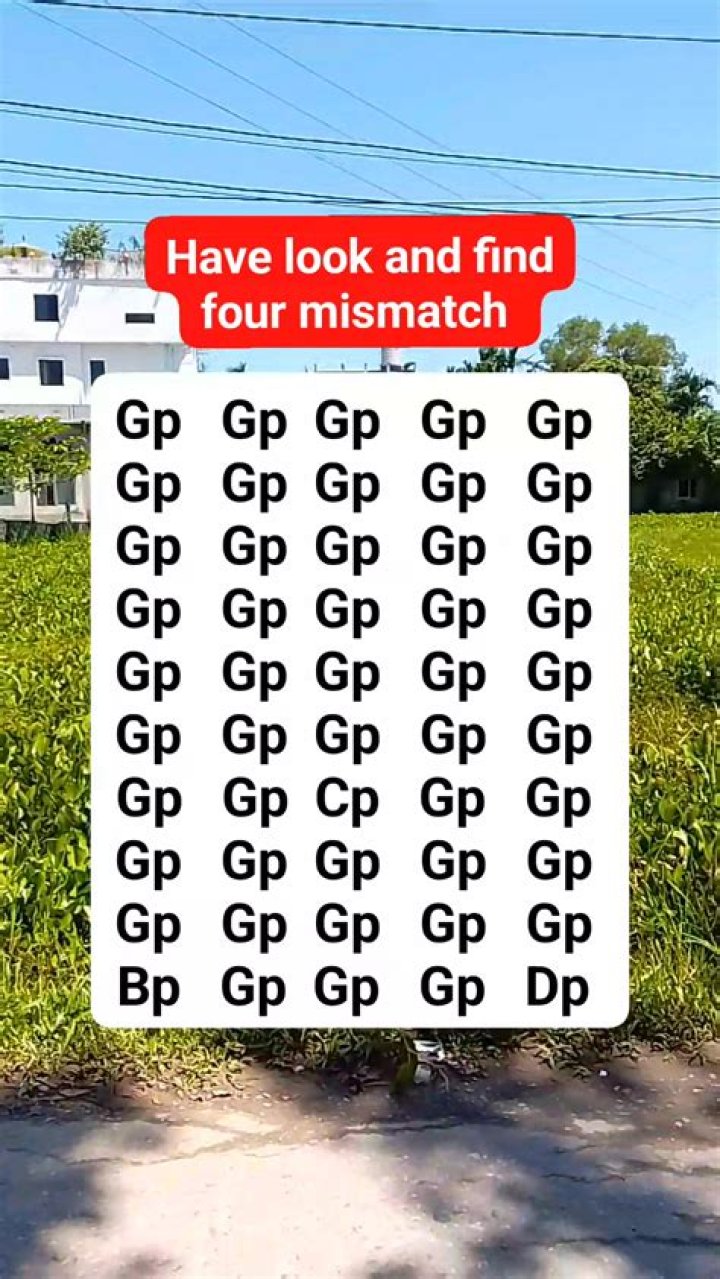 Can you find the four-leaf clover?