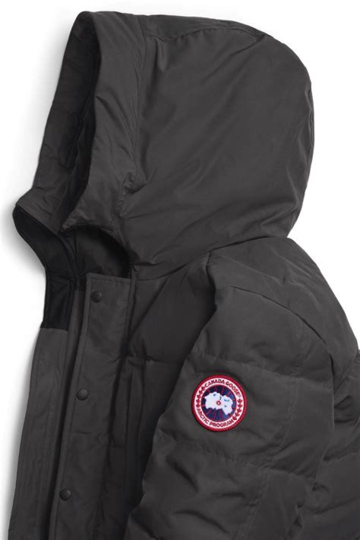 canada goose