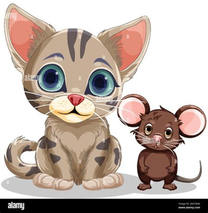 Cat and mouse have an up-and-down relationship