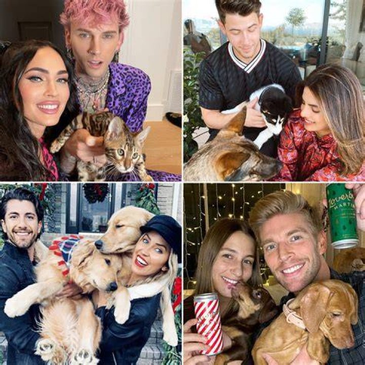 Celebrity Couples Who Adopted Pets Together