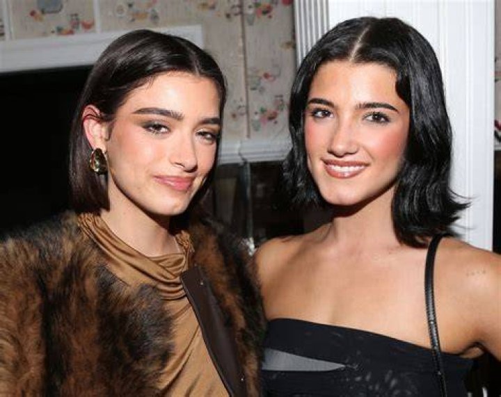  Charli and sister Dixie may be getting their own reality show